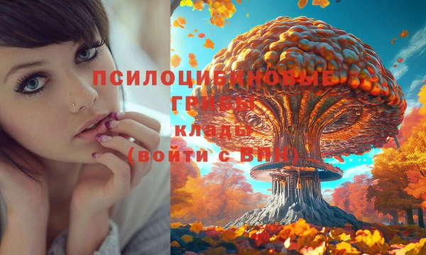 альфа пвп Гусев