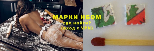 эйфоретик Гусь-Хрустальный