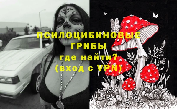 индика Гусиноозёрск