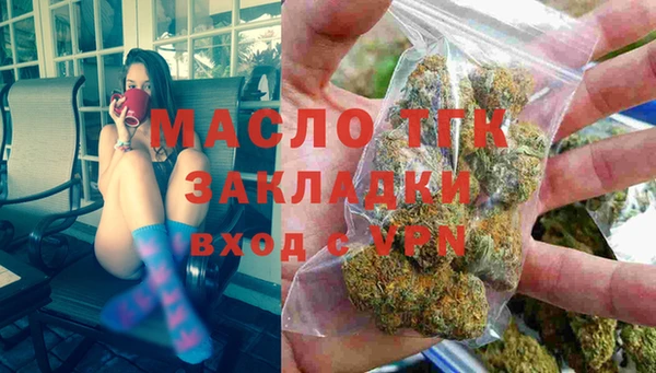 индика Гусиноозёрск