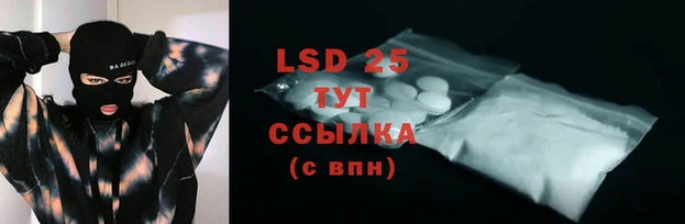 эйфоретик Гусь-Хрустальный