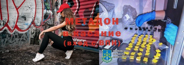 эйфоретик Гусь-Хрустальный