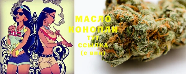 альфа пвп Гусев